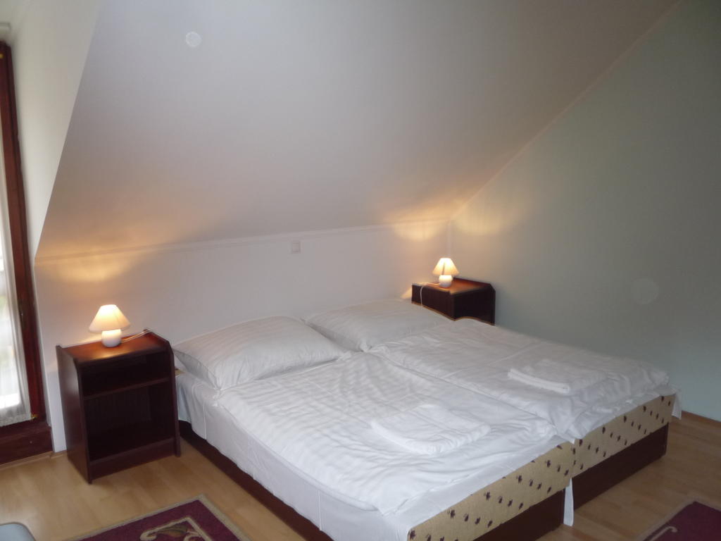 Aba Vezer Vendeghaz Hotell Abaújszántó Rom bilde